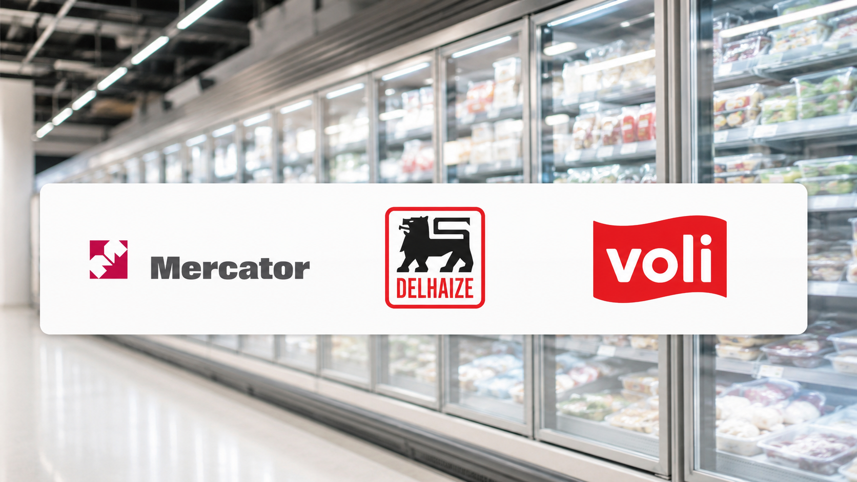 frigomax-reference-mercator-delhaize-voli.png